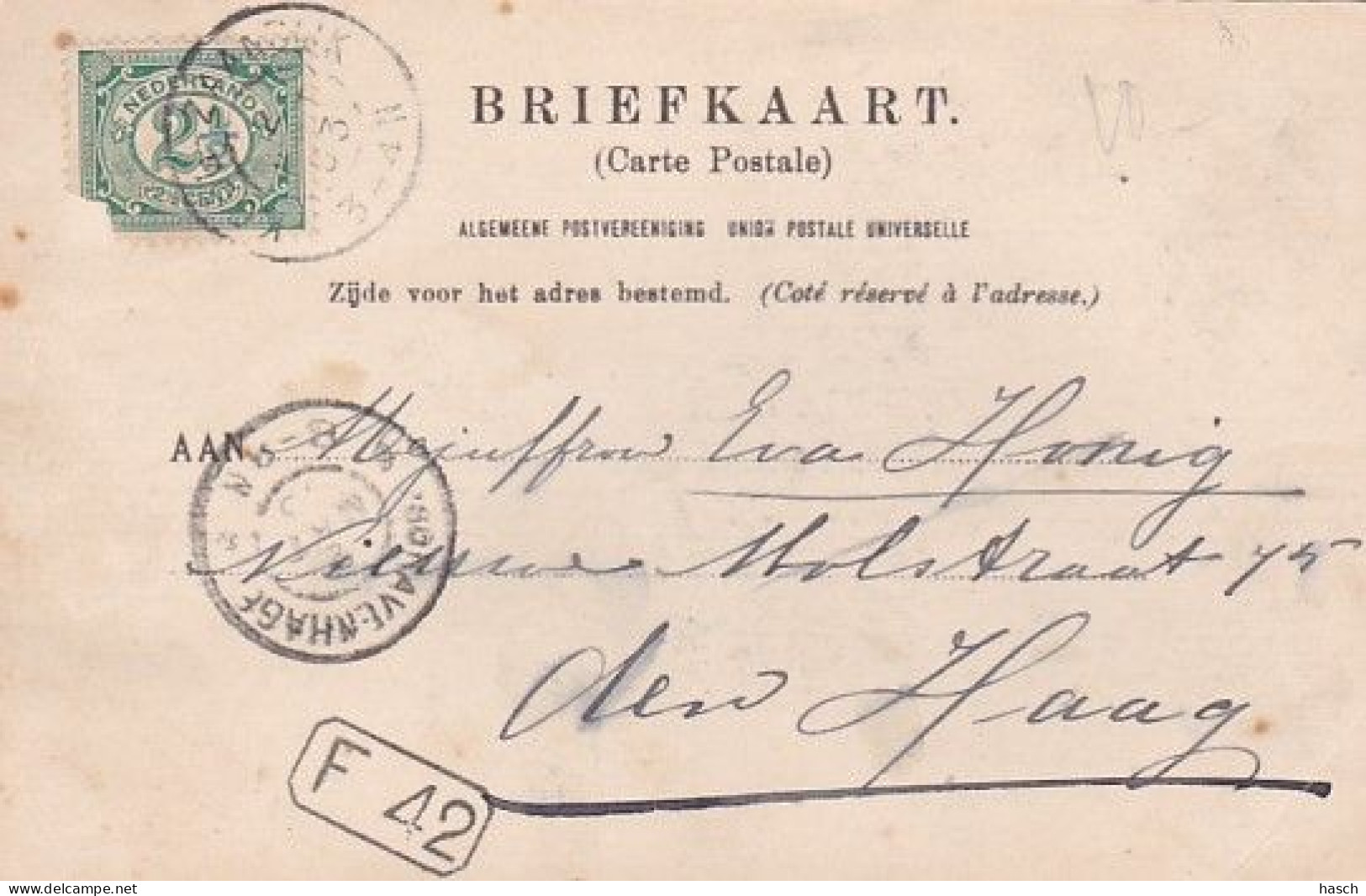 1854	59	Koog Aan De Zaan, (poststempel 1903) (linksonder  Een Vouw) - Zaanstreek