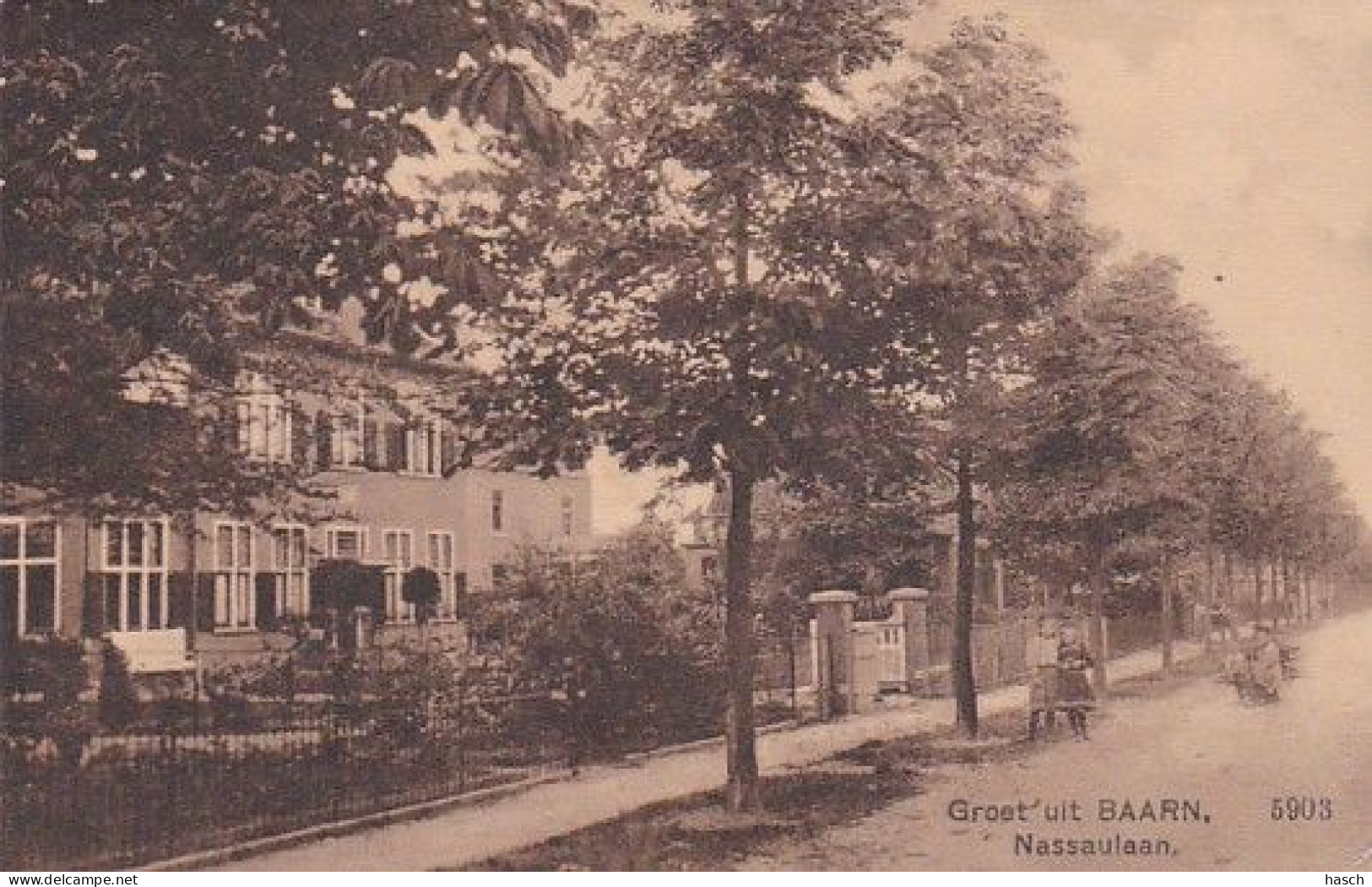 1854	23	Baarn, Nassaulaan Groet Uit Baarn. (poststempel 1913)(rechtsonder Een Heel Klein Vouwtje) - Baarn