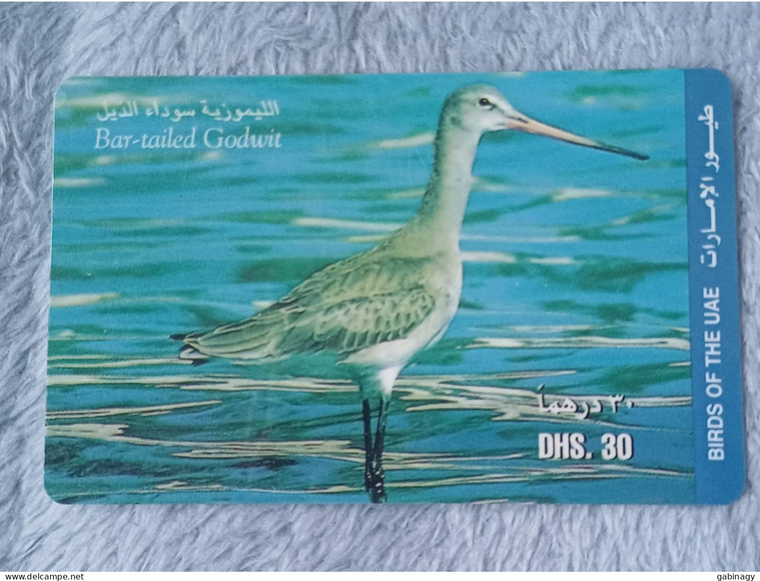 UAE - 2 CARDS OF BIRDS - United Arab Emirates