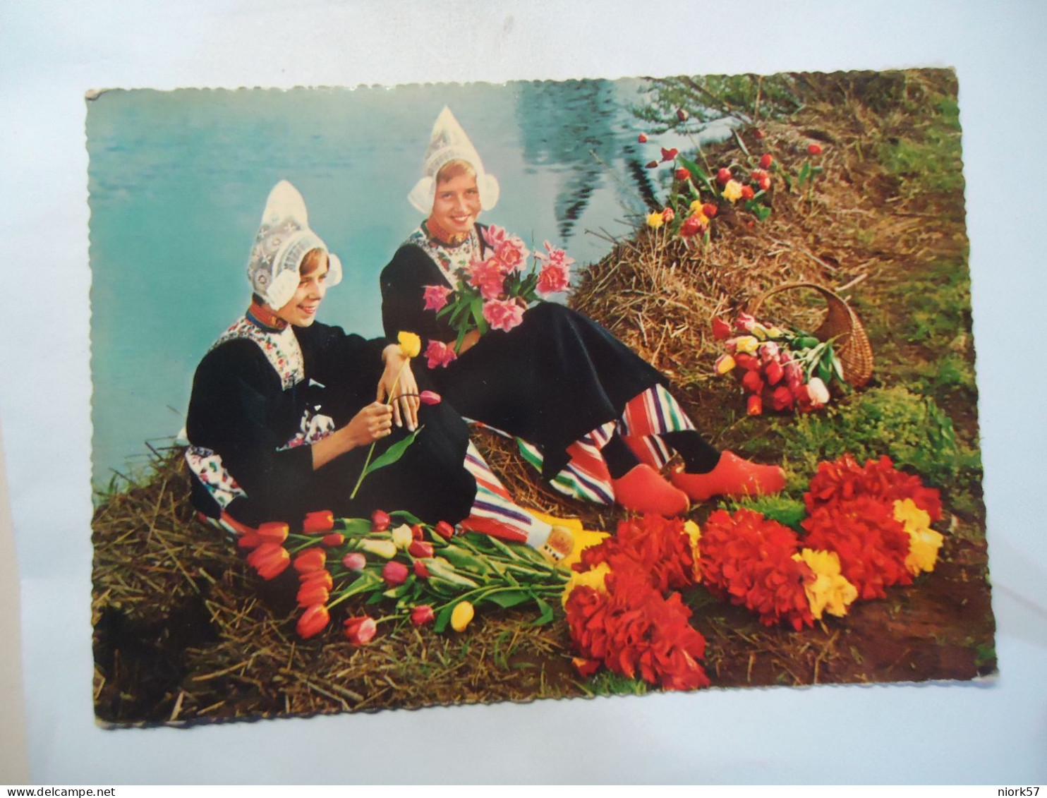 NETHERLANDS  POSTCARDS BLOEMELAND  WOMENS AN  TULLIPS - Autres & Non Classés