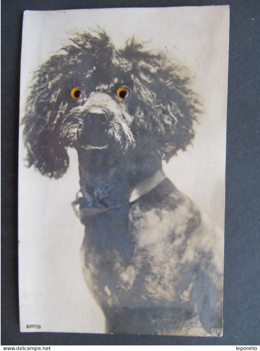 AK HUND Dog  Mechanical Postcard Eyes  // P8946 - Hunde