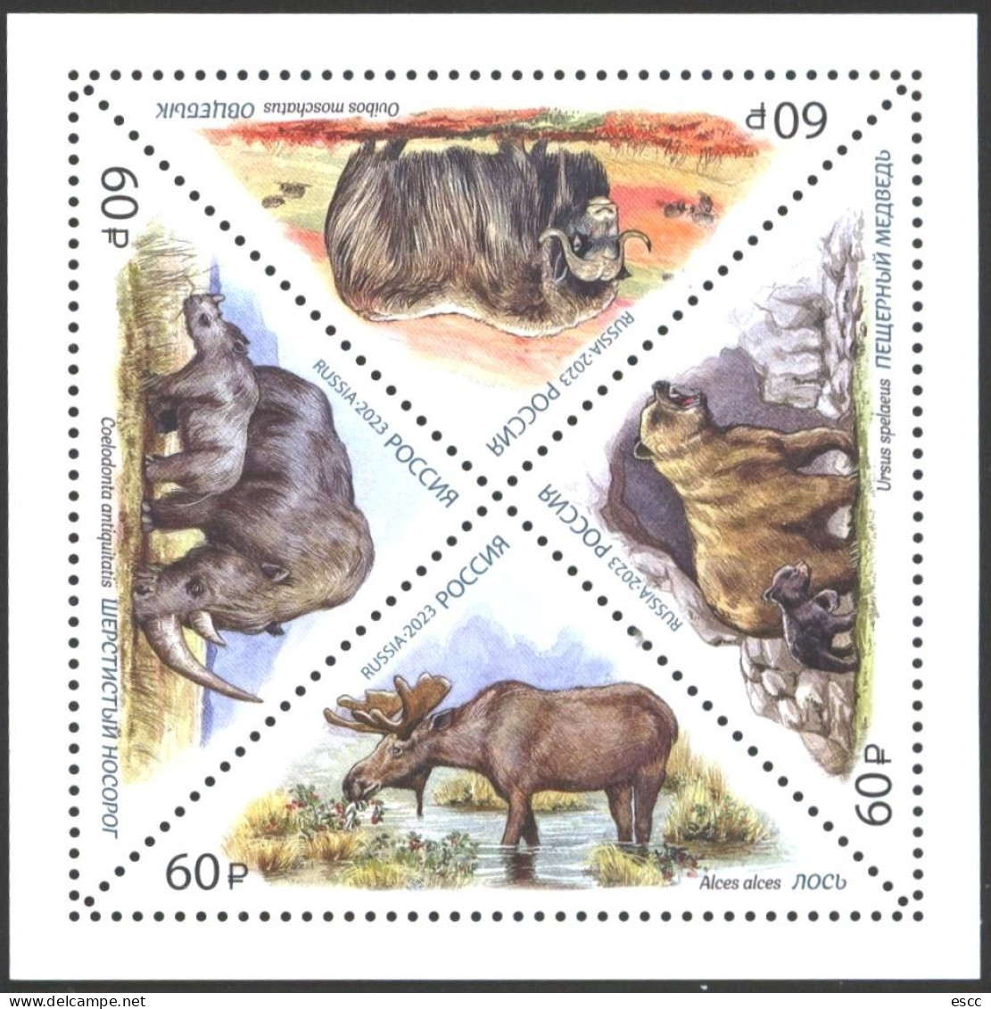 Mint S/S Fauna Bear Rhino Moose Bison  2023 From Russia - Other & Unclassified