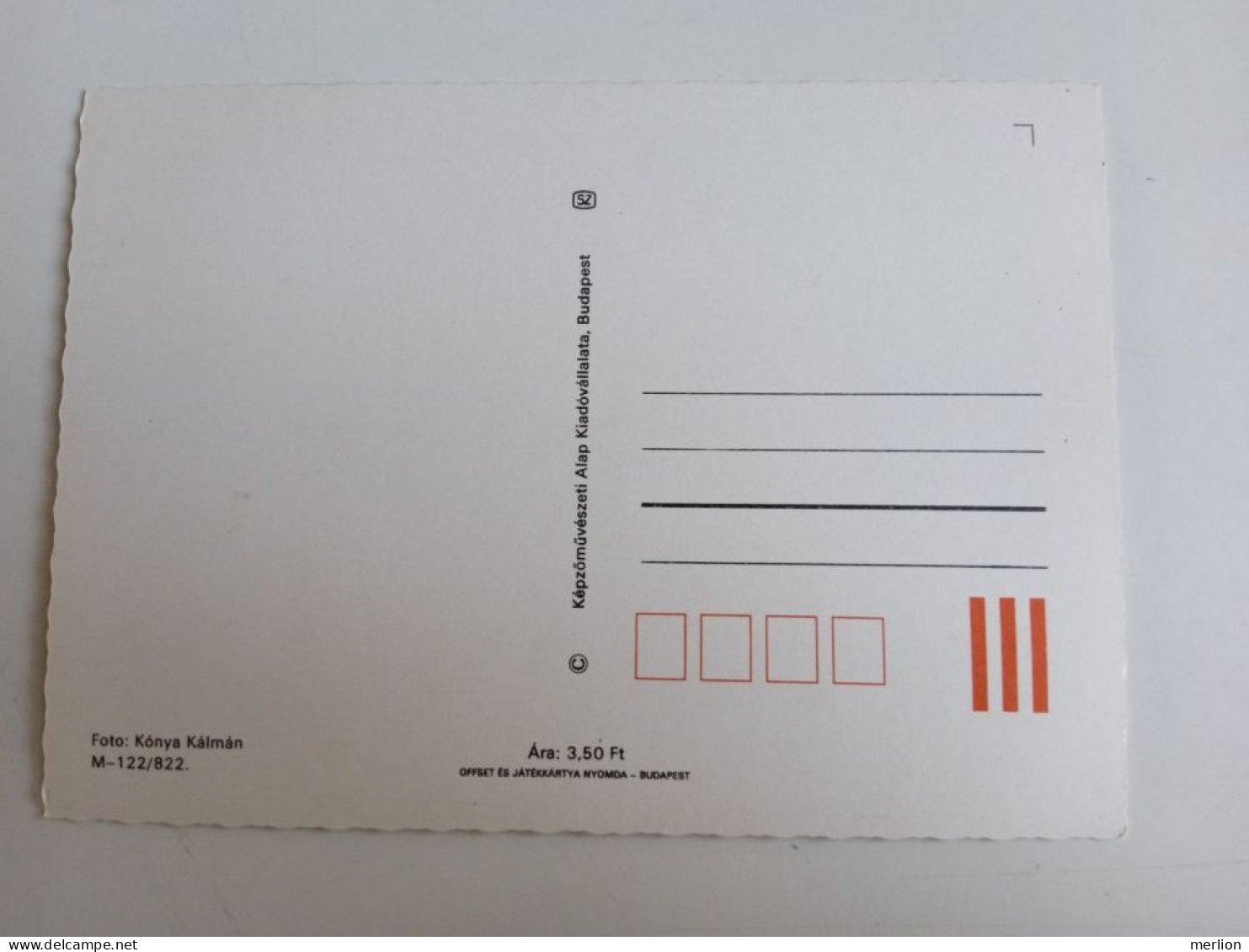 D203007  AK  CPM  -  DONKEY  - Hungarian Postcard 1982 - Esel