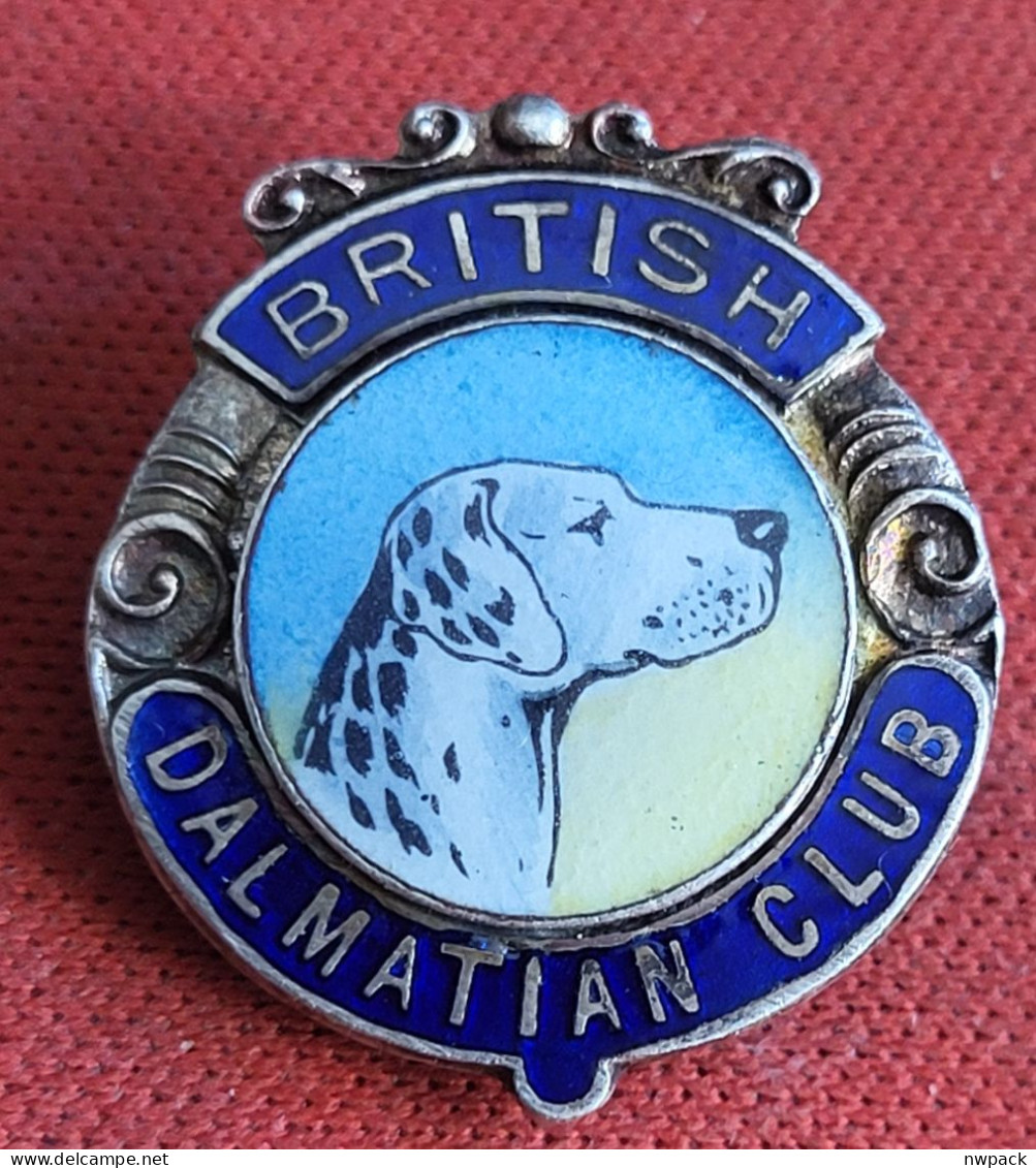 Animals Dog BRITISH DALMATIAN CLUB - Badge / Pin / Brooch - Animals