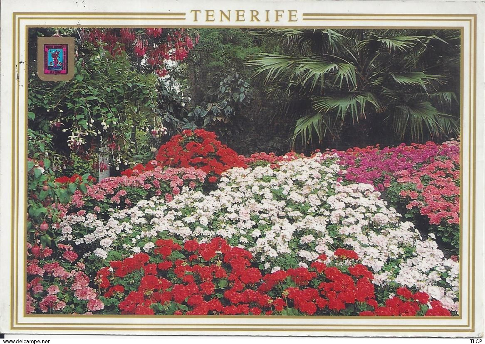 CPM    Espana Islas Canarias  Tenerife  Jardines De Tenerife  Avec Blason - Tenerife