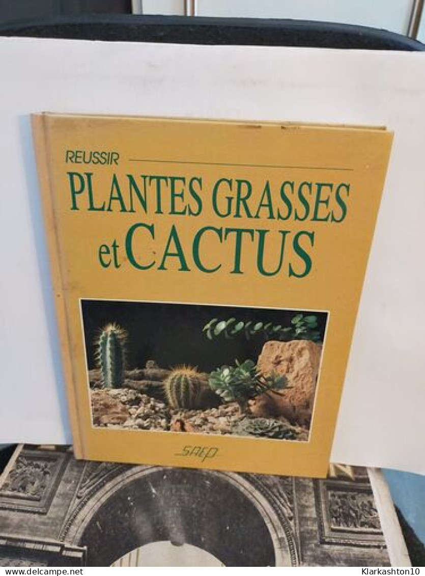 Réussir Plantes Grasses Et Cactus - Autres & Non Classés