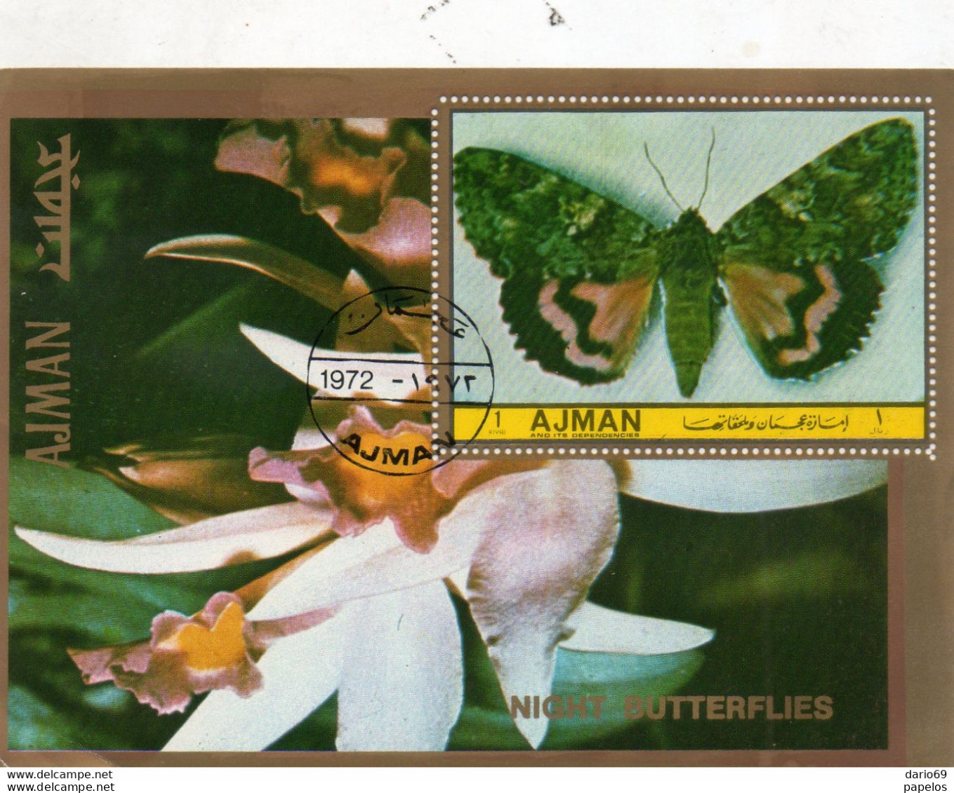 FARFALLE - Butterflies