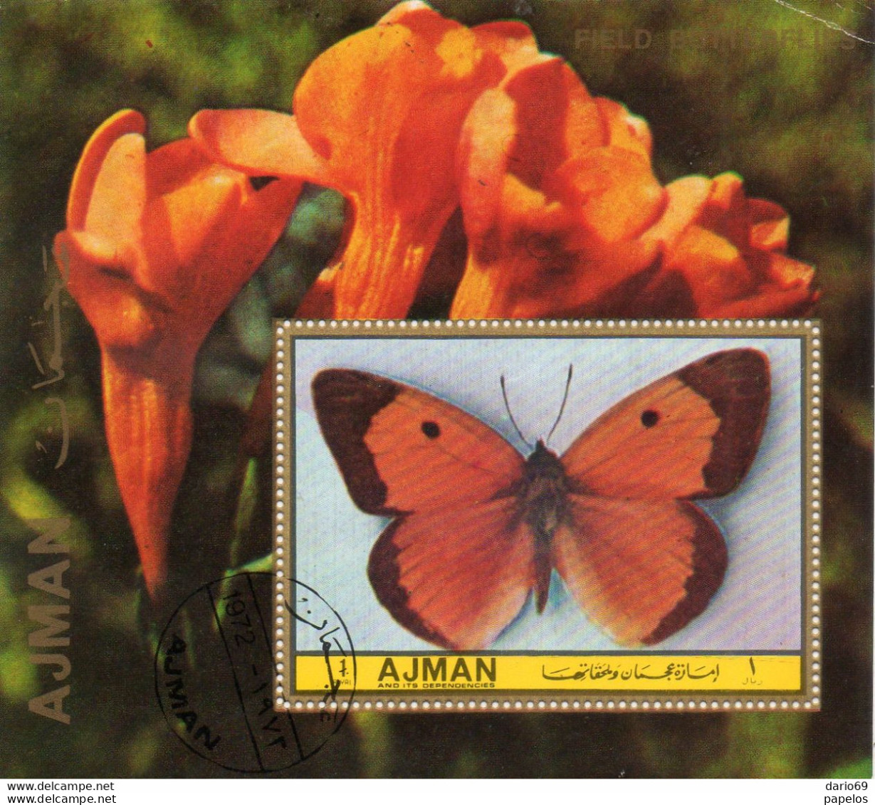 FARFALLE - Papillons
