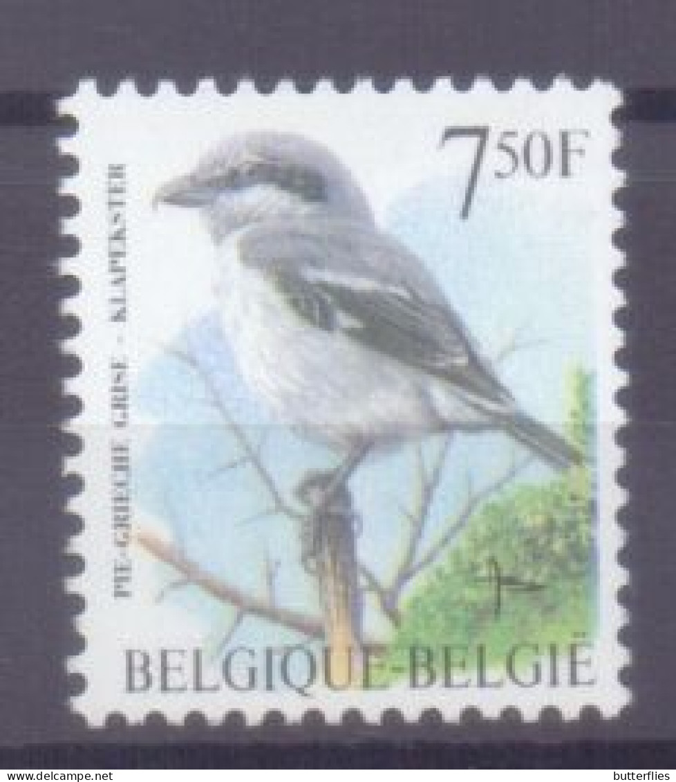 Belgie - OBP - ** 2775 - Klapekster -  Andre Buzin - Unused Stamps