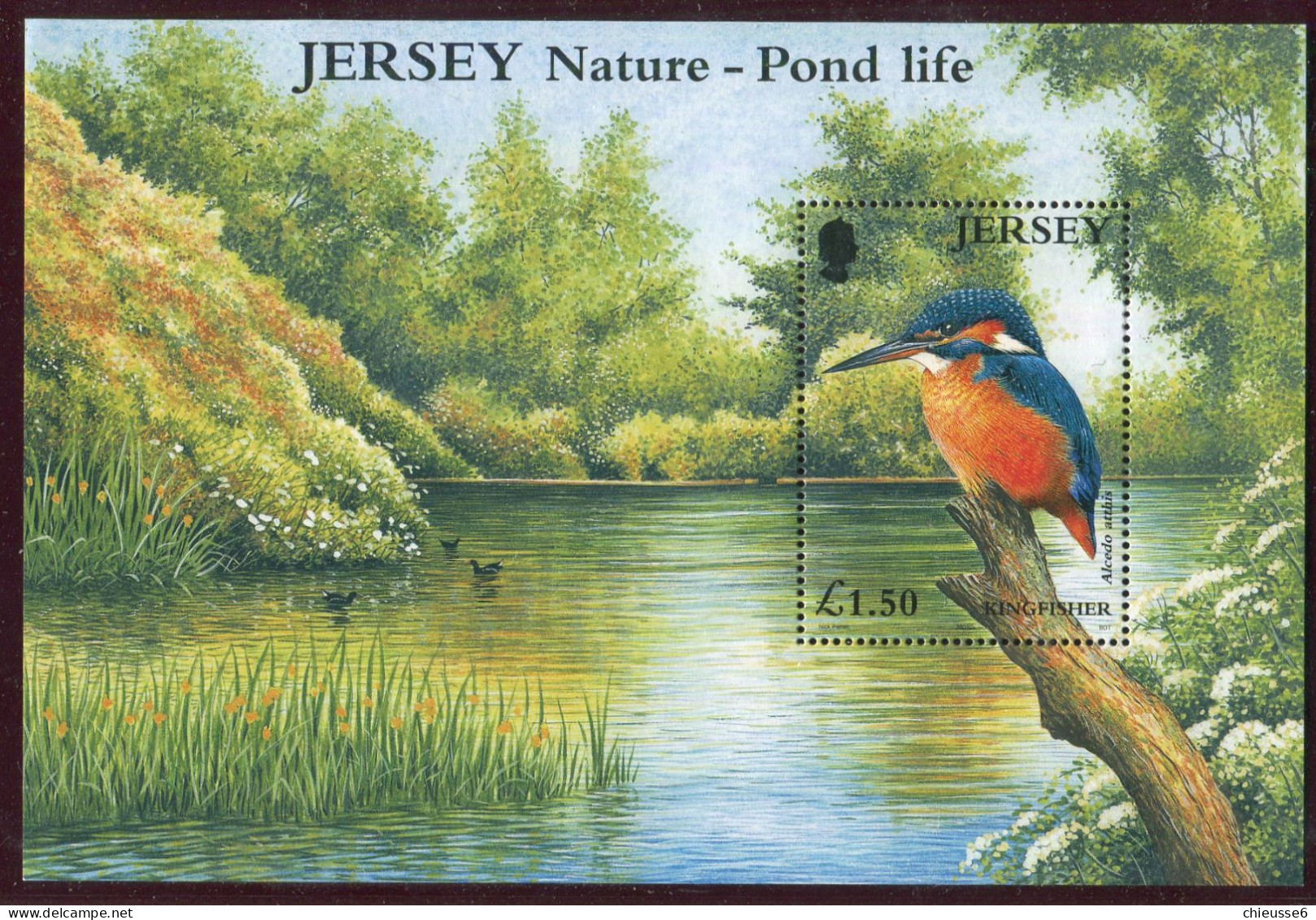 Jersey ** Bloc 35 - Oiseau : Martin-pêcheur - Jersey