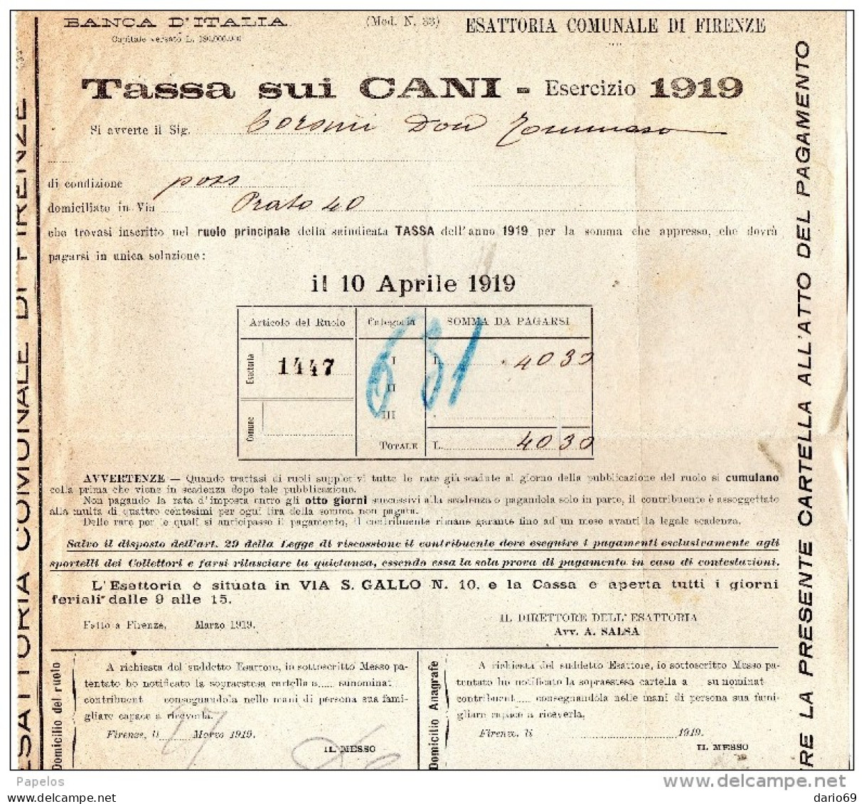 1919 FIRENZE - TASSA SUI CANI - Italie