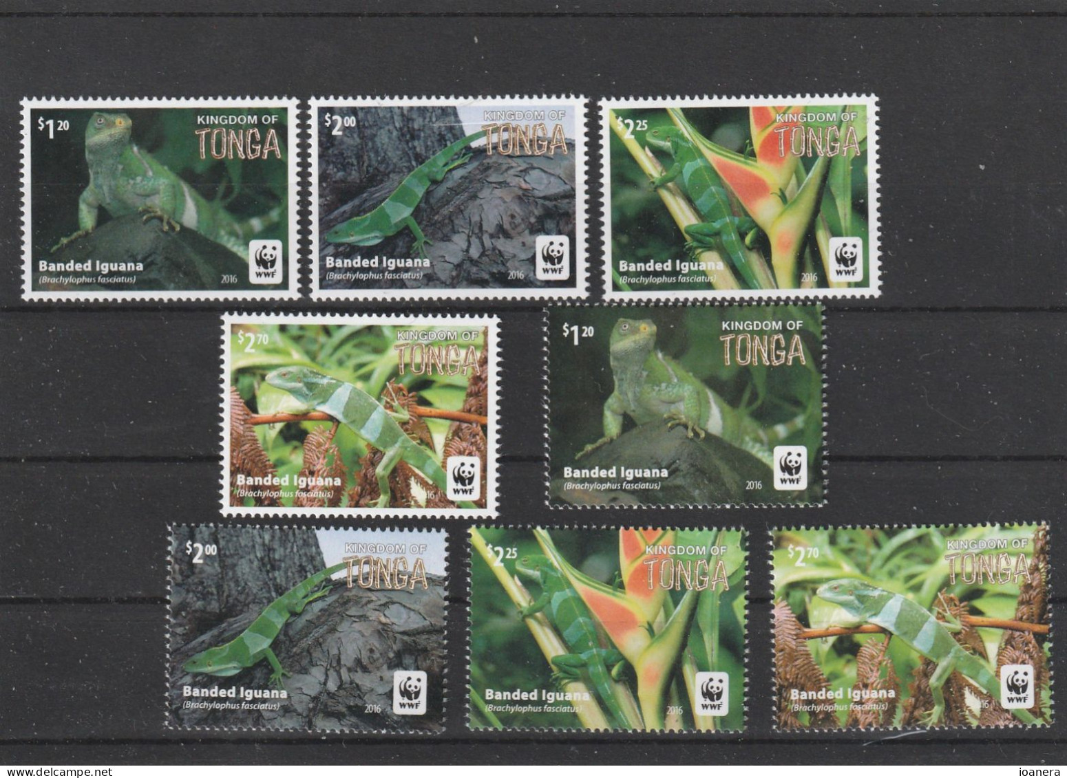 Tonga 2016  - WWF , Fauna,Banded Iguana,complete Series 8 Values ,perforated,MNH ,Mi.2098-2105 - Tonga (1970-...)