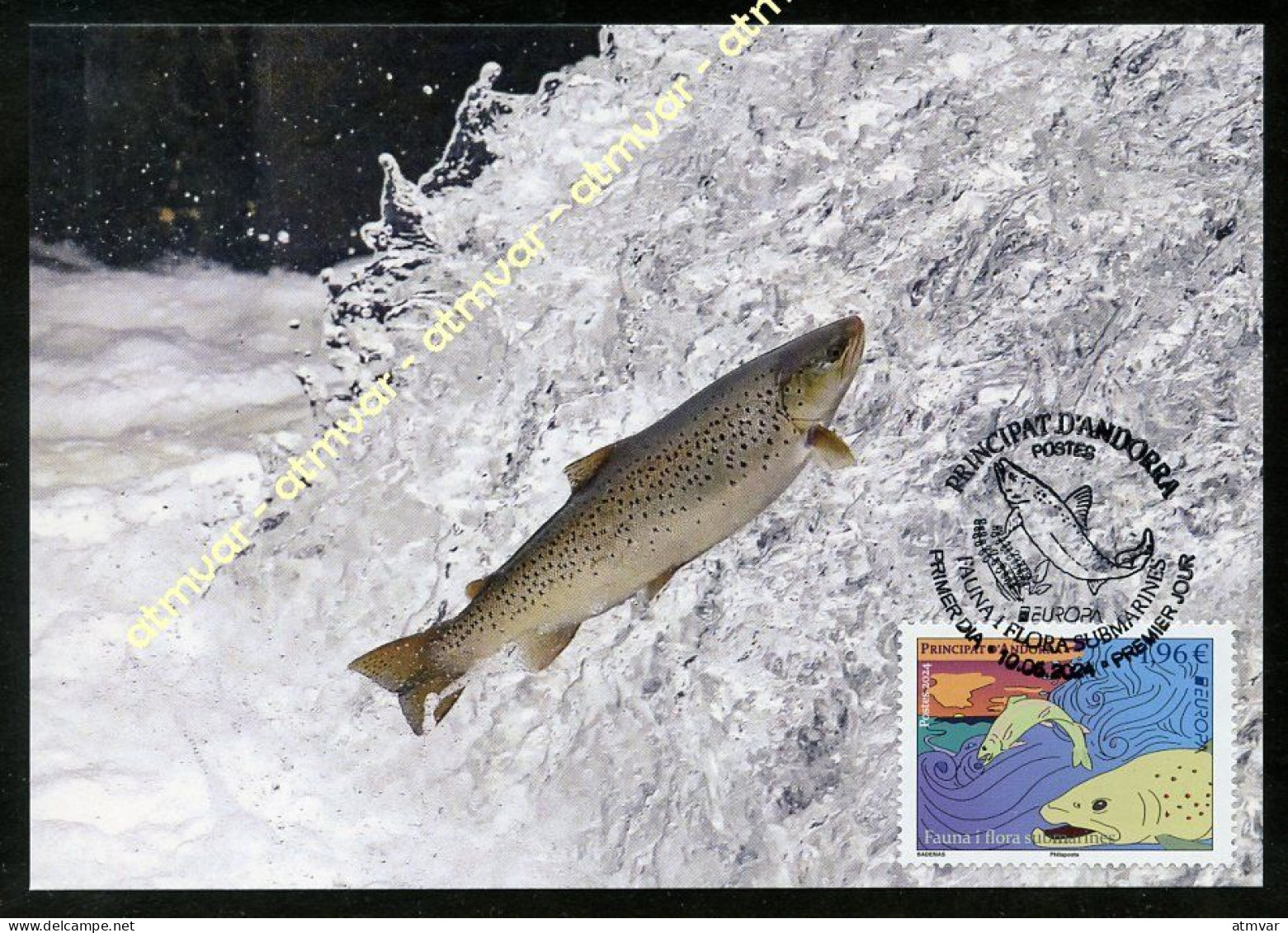 ANDORRA Postes (2024) Carte Maximum EUROPA Fauna I Flora Submarines Truite Arc-en-ciel Trucha Salmo Trutta Fario Trout - Maximum Cards