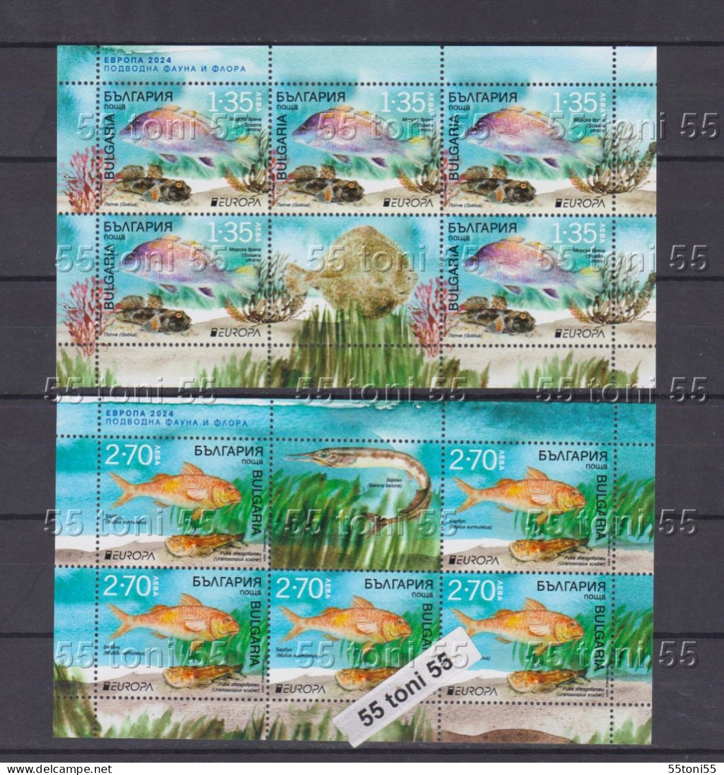 2024 Europe - Underwater Fauna And Flora  2 S/M – MNH Bulgaria / Bulgarie - Unused Stamps