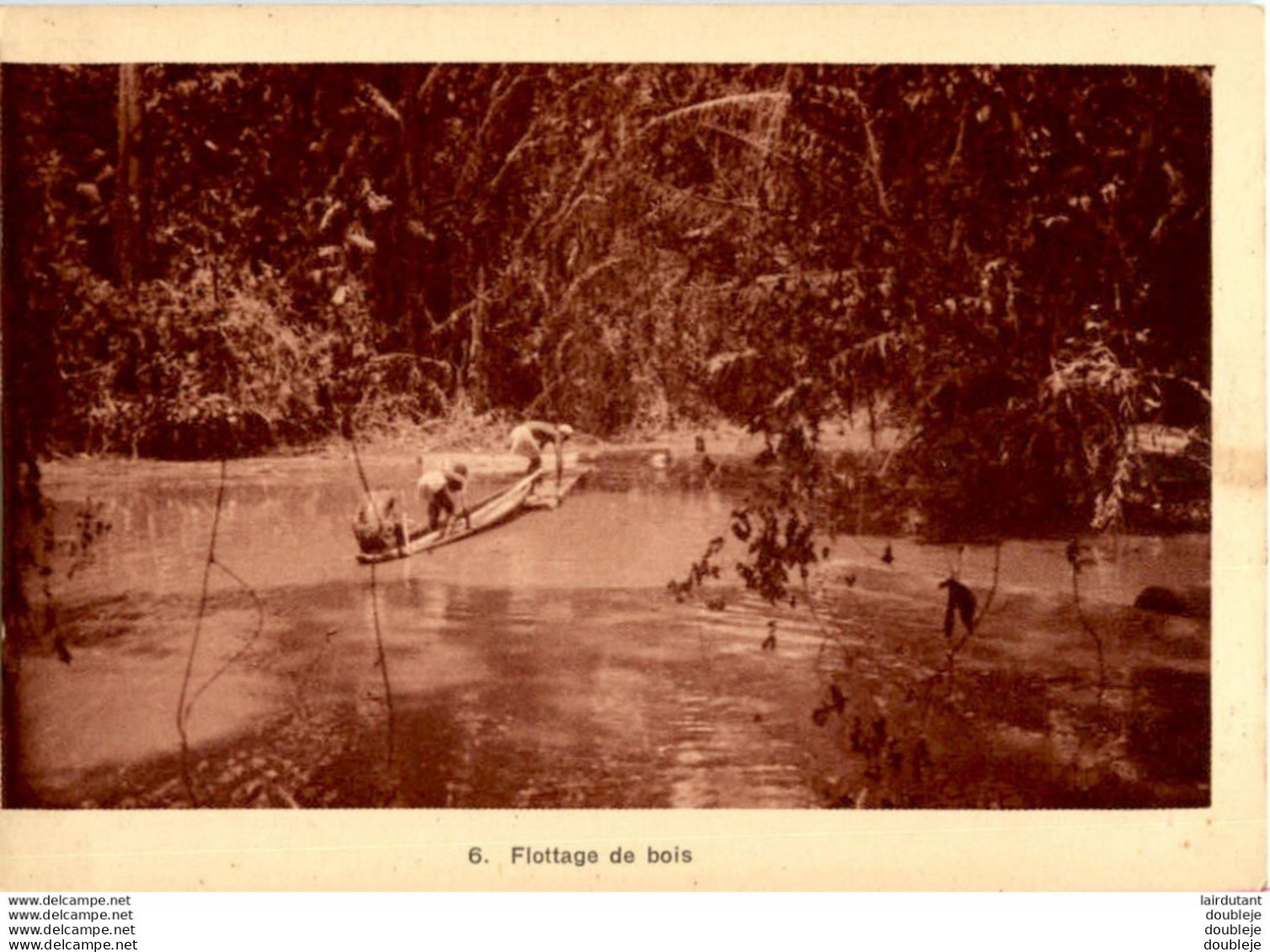 CÔTE D'IVOIRE  LA DAVO près de SASSANDRA  COUPE DES ACAJOU  TRANSPORT DES BOIS PAR FLOTTAGE LOT DE 12 CP