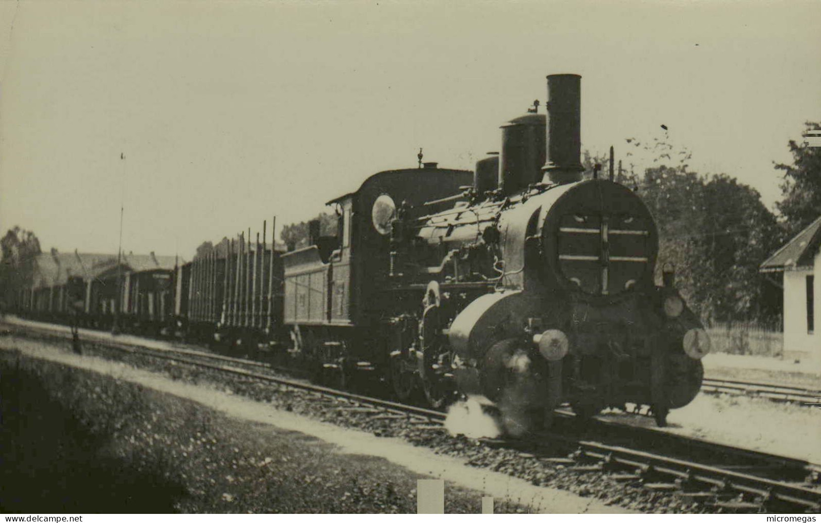 Reproduction - Hongrie - Locomotive à Identifier - Eisenbahnen