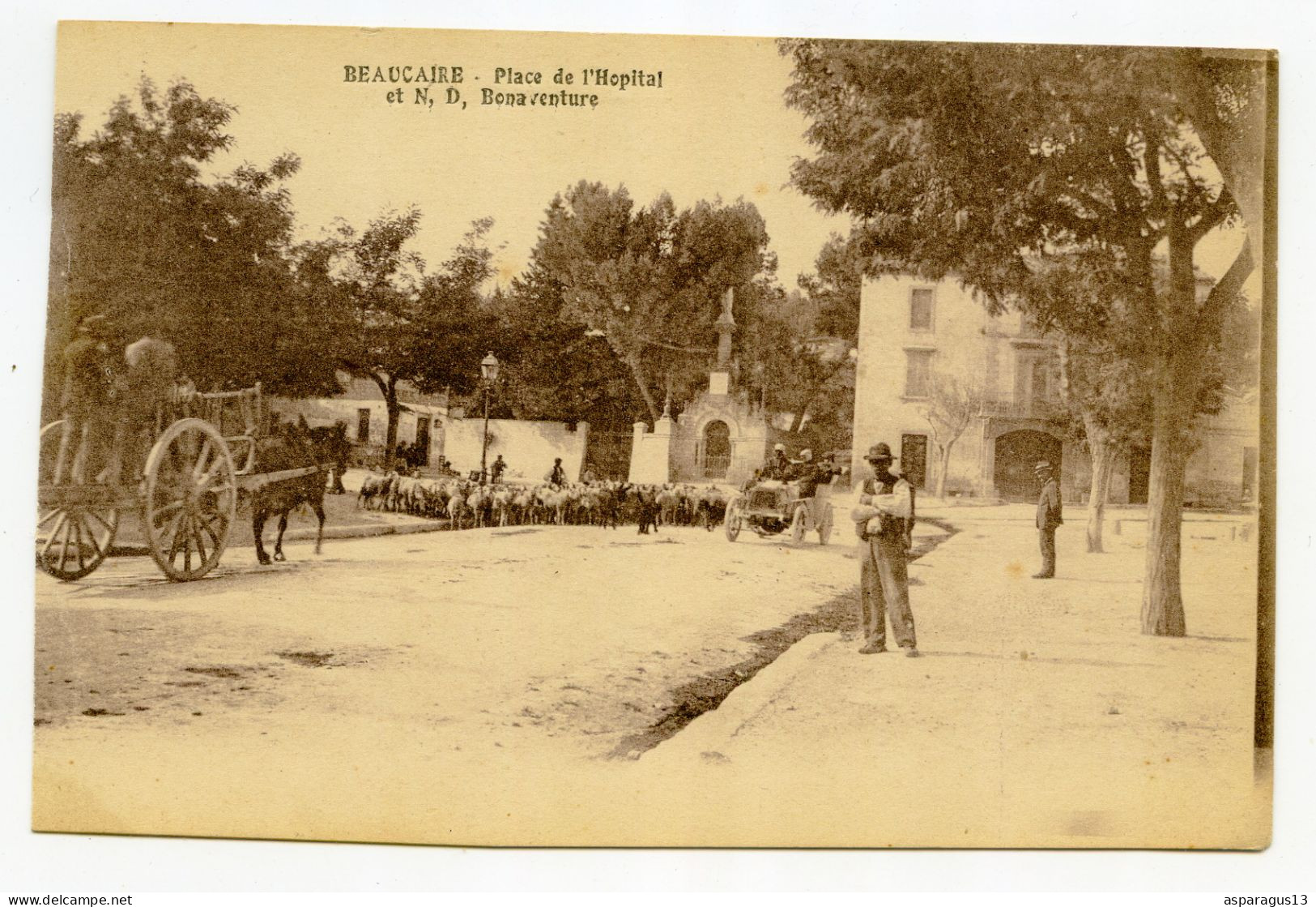 Beaucaire Place De L'hôpital Troupeau De Moutons - Beaucaire