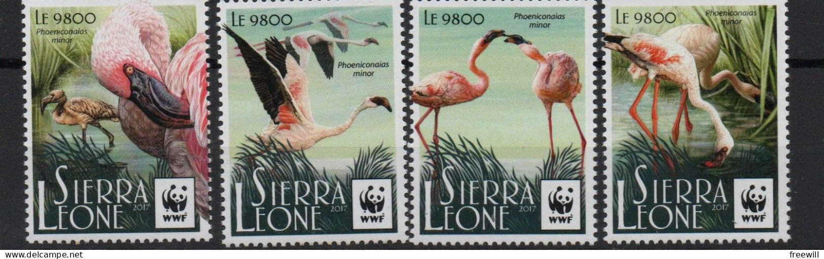 Sierra Leone   Espèces Menacées, Flamants Roses - Endangered Animals , Flamingos 2017 WWF  XXX - Sierra Leone (1961-...)