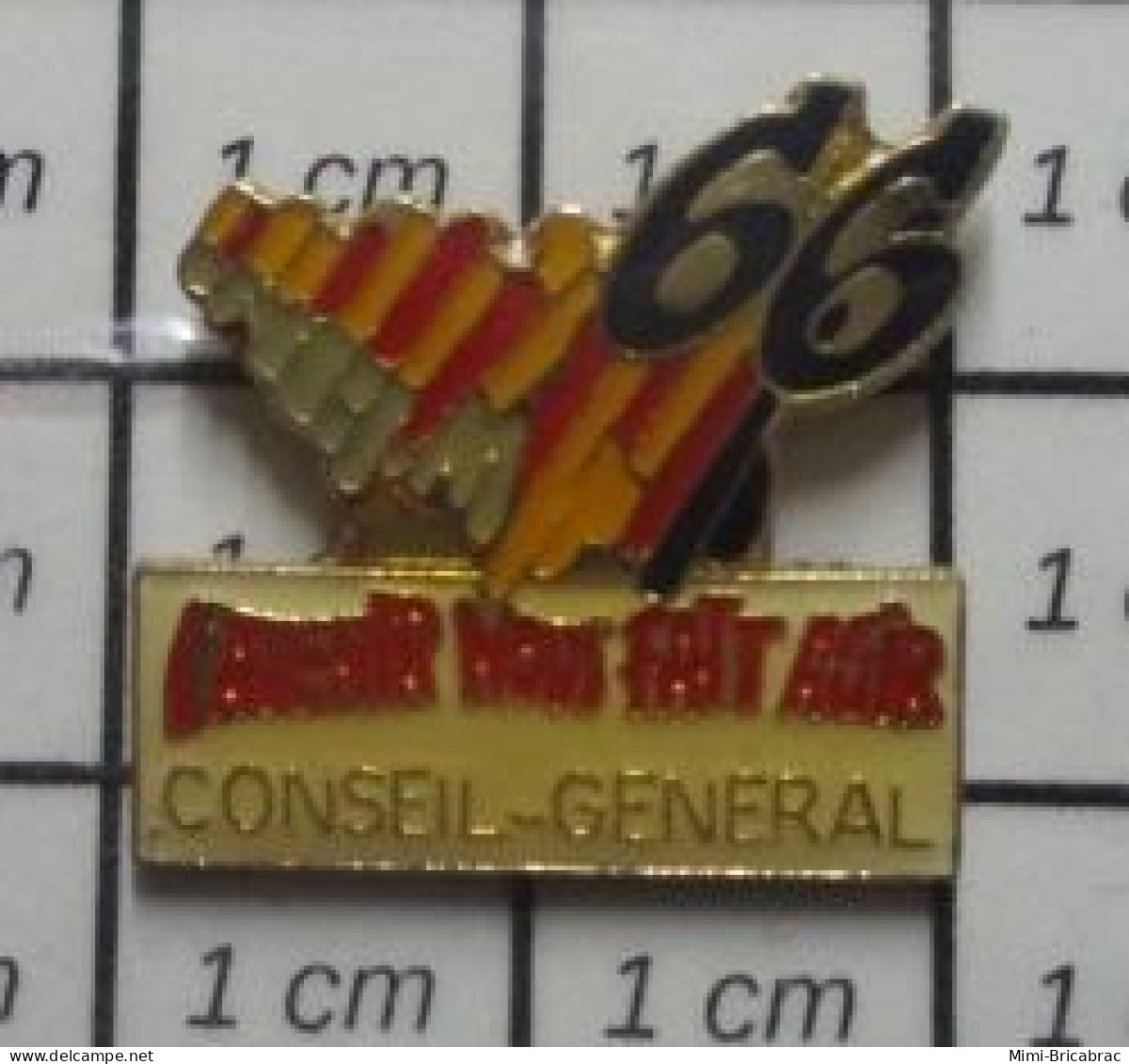 813G  Pin's Pins / Beau Et Rare / ADMINISTRATIONS / CONSEIL GENERAL 66 PYRENEES ORIENTALES L'AVENIR NOUS FAIT AGIR - Administration