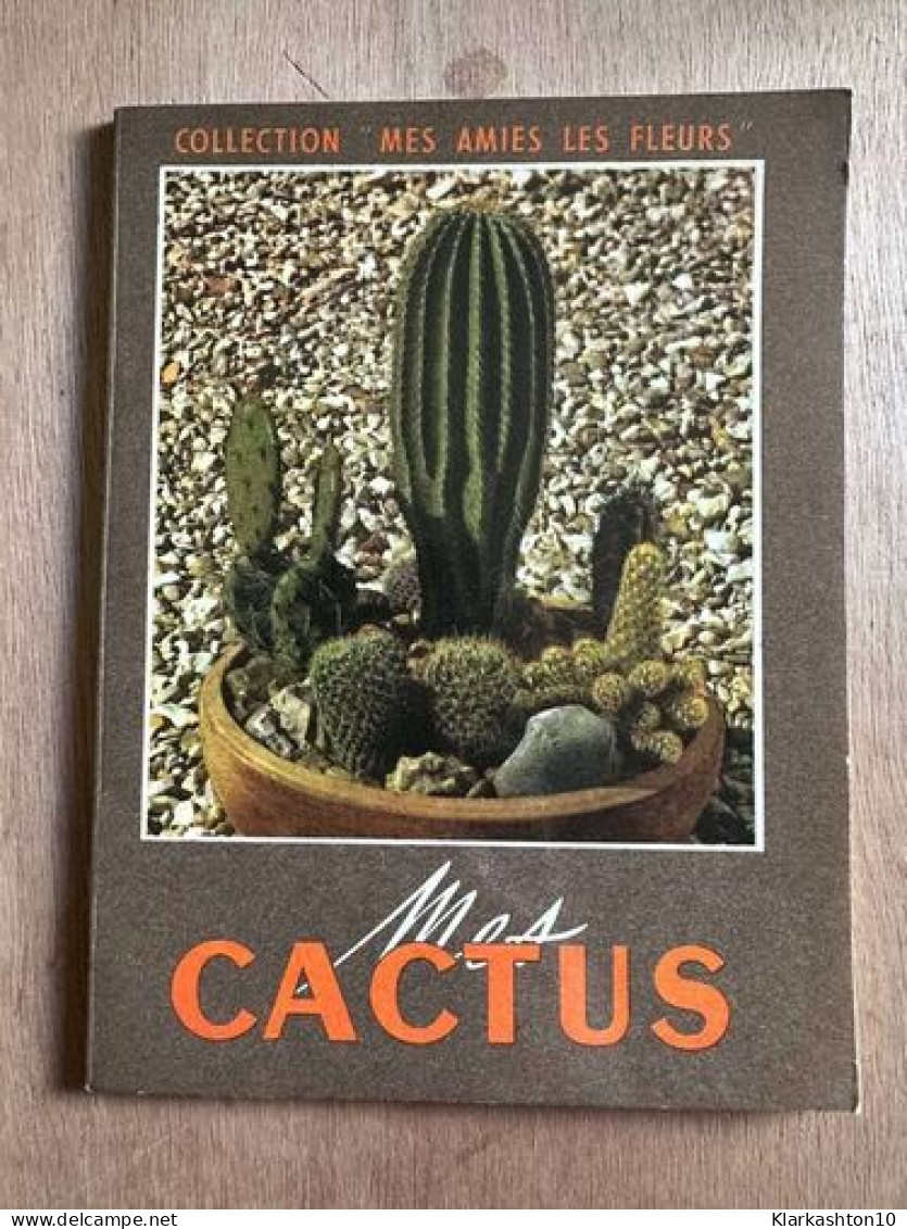 Cactus - Autres & Non Classés