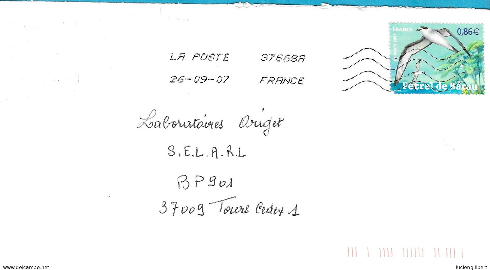 TIMBRE N°4036  -  PETREL DE BARAU  - TARIF DU 1 10 06  AU 28 2 08 - SEUL SUR LETTRE  -  2007 - Postal Rates