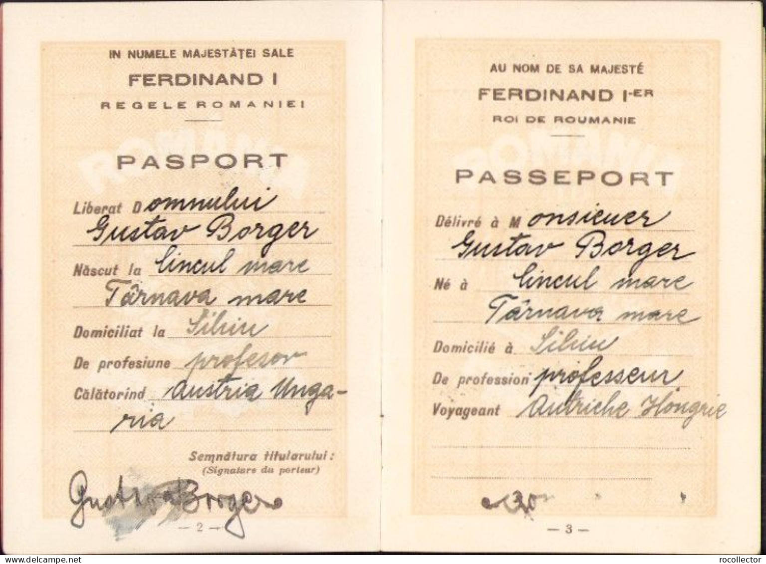 Romanian 1922 Passport For Saxon Professor Gustav Borger From Hermannstadt A2471N - Collections
