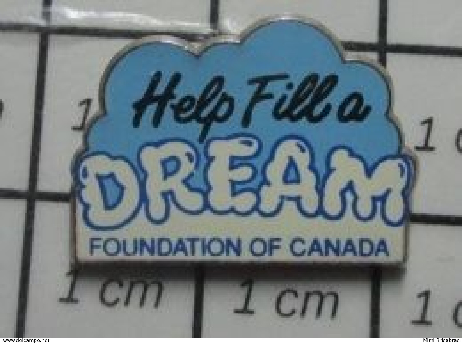 811B Pin's Pins / Beau Et Rare / ASSOCIATIONS / HELP FILL A DREAM FOUNDATION OF CANADA - Verenigingen