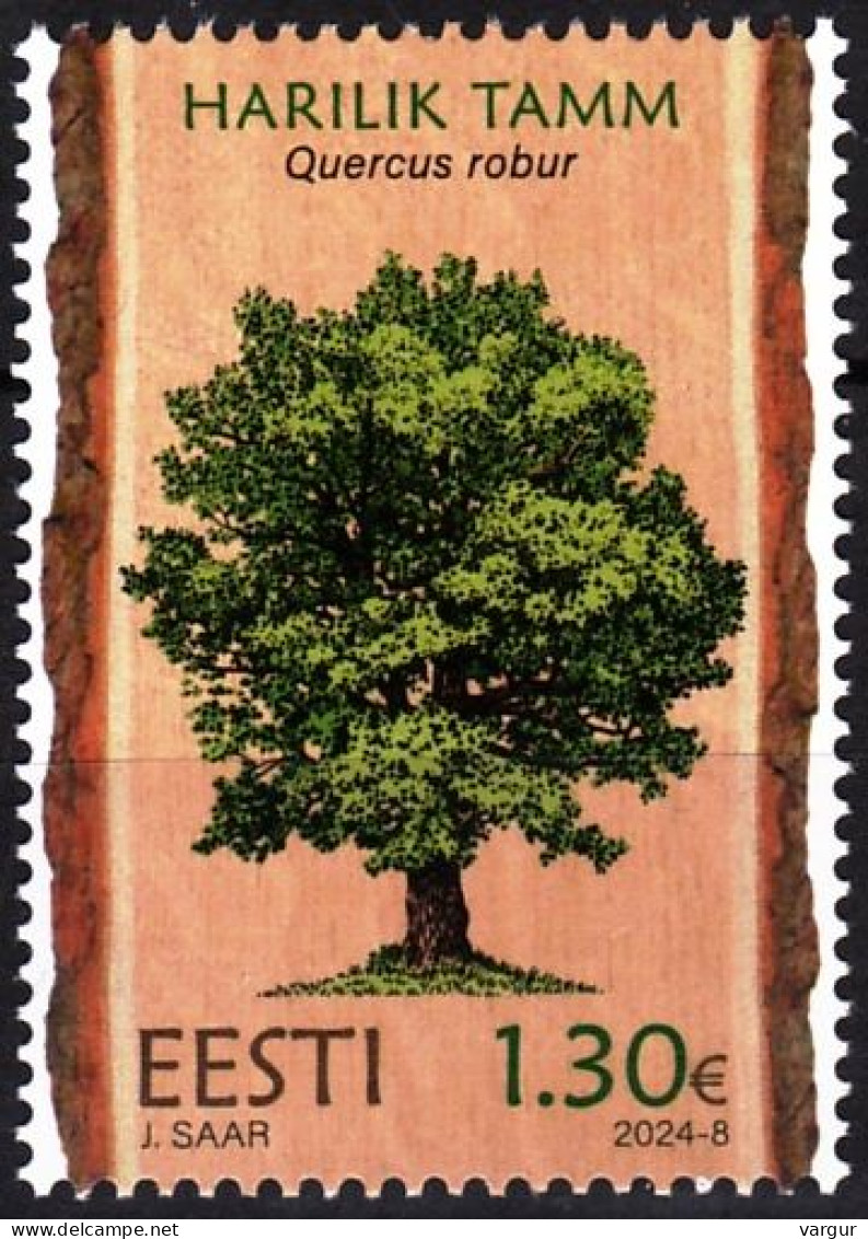 ESTONIA 2024-06 FLORA Plants: Tree English Oak, MNH - Bäume
