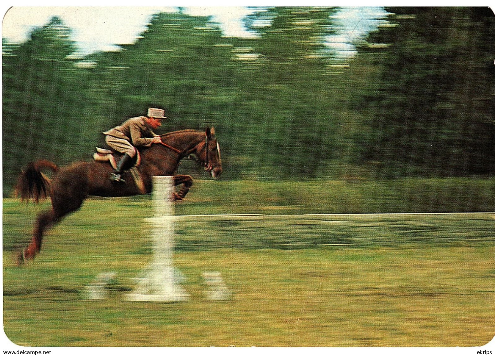 Saut D'obstacles - Chevaux