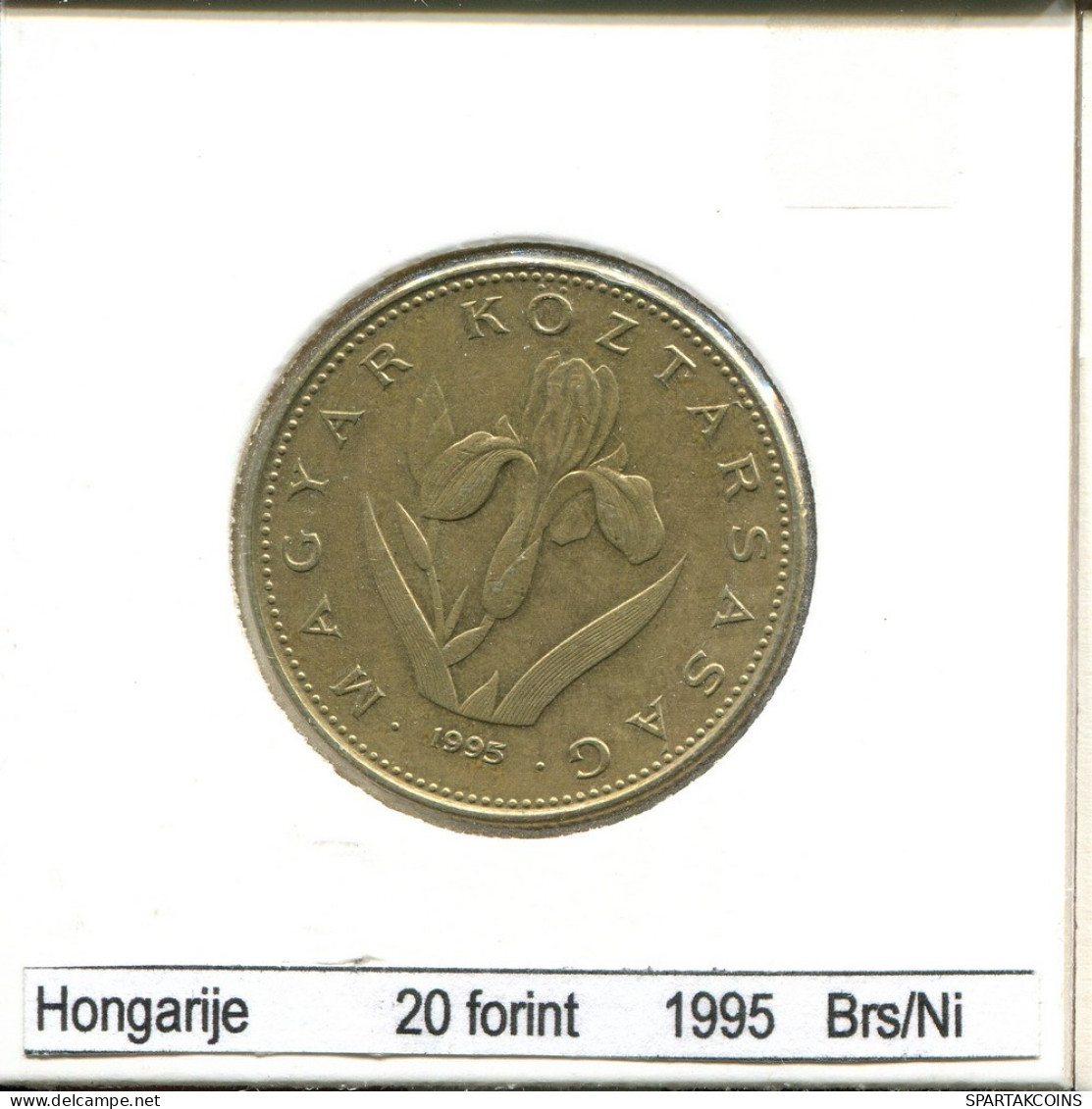 20 FORINT 1995 SIEBENBÜRGEN HUNGARY Münze #AS512.D.A - Hongrie