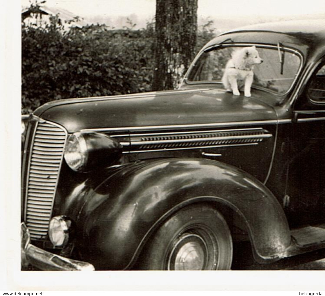 PHOTOGRAPHIE ORIGINALE  SALMSON Type S4 De 1939    - VOIR SCANS - Automobiles