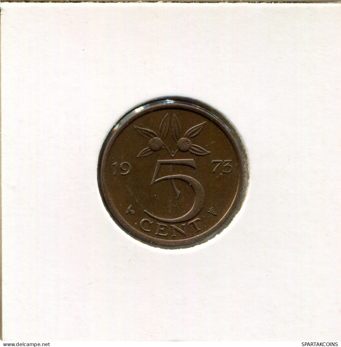 5 CENTS 1973 NIEDERLANDE NETHERLANDS Münze #AR715.D.A - 1948-1980: Juliana