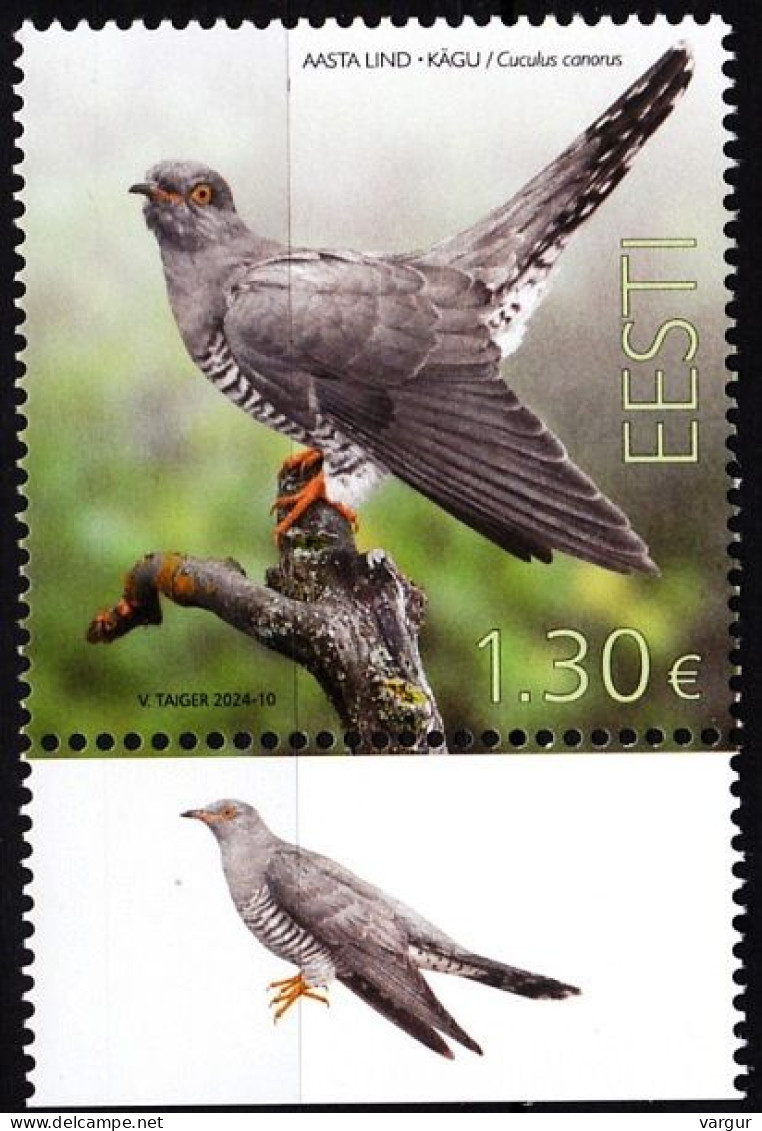 ESTONIA 2024-08 FAUNA Animals: Bird Of The Year - Cuckoo. Bird Margin, MNH - Kuckucke & Turakos