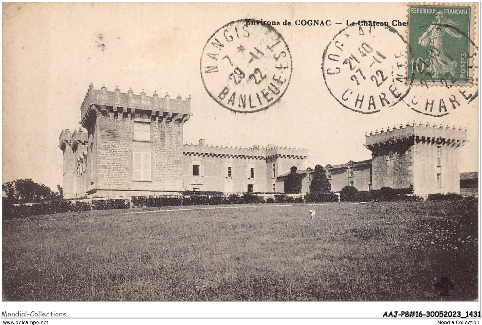 AAJP8-16-0678 - Environs De COGNAC - Le Chateau - Cognac