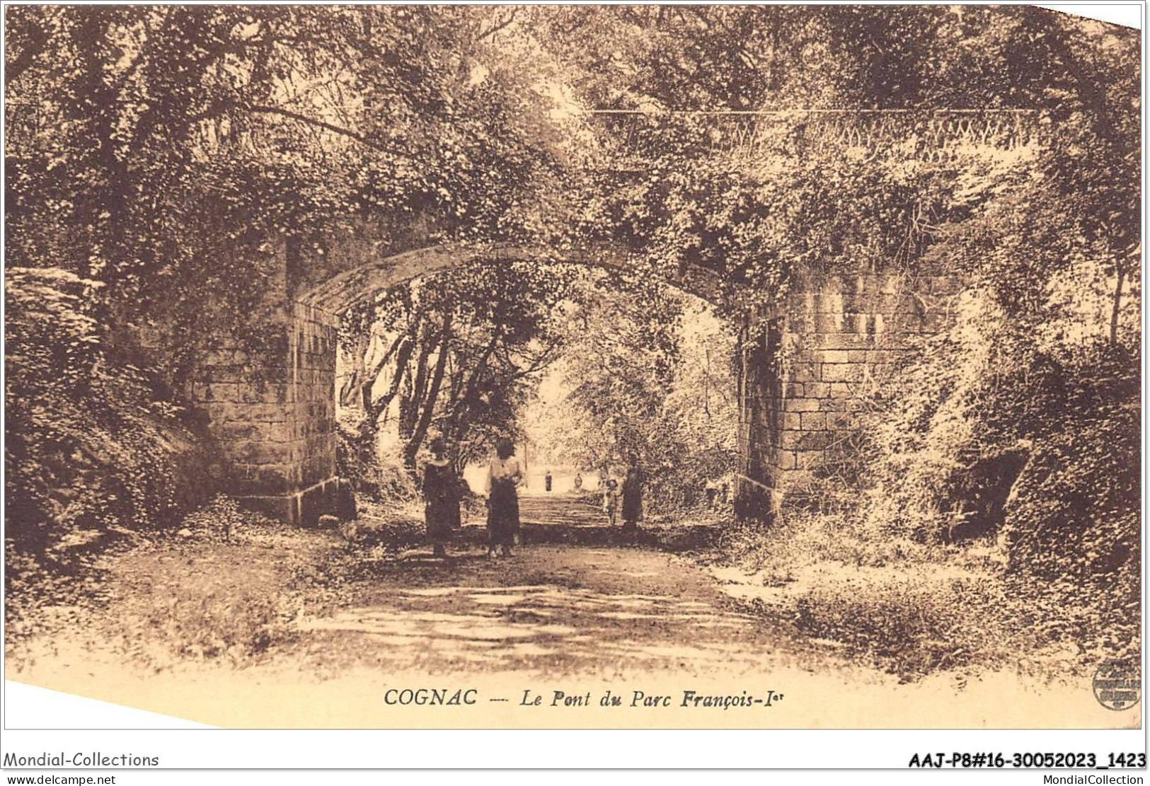 AAJP8-16-0674 - COGNAC - Le Pont Du Parc François-1er - Cognac