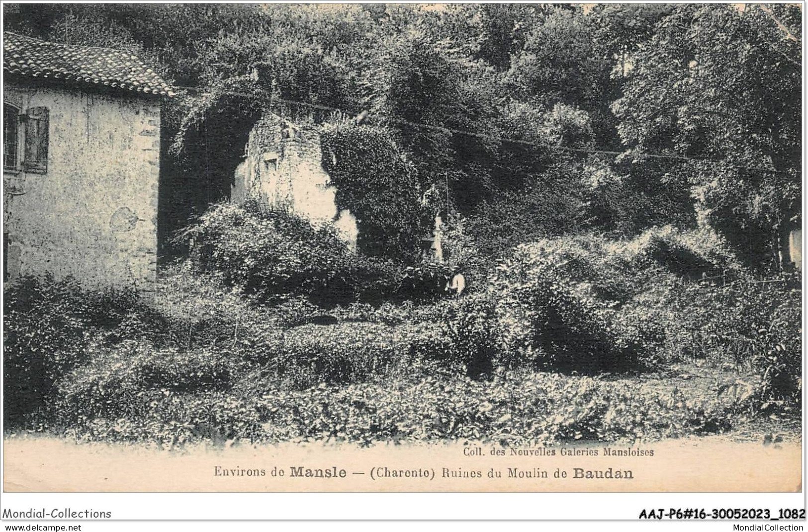 AAJP6-16-0503 - Environs De Mansle - Ruines Du Moulin De Baudan - Mansle