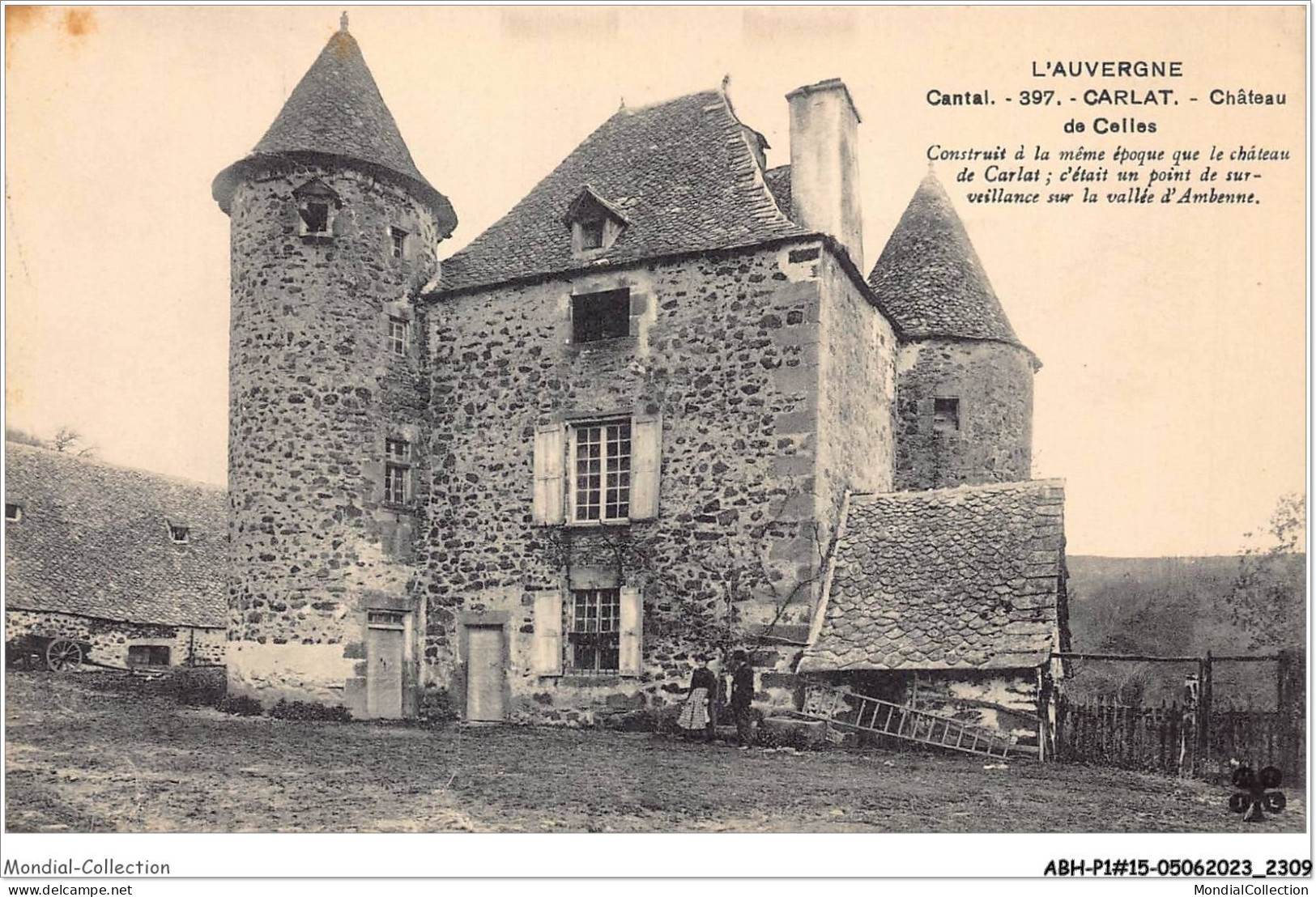 ABHP1-15-0069 - L'Auvergne - CARLAT - Château De Celles - Carlat
