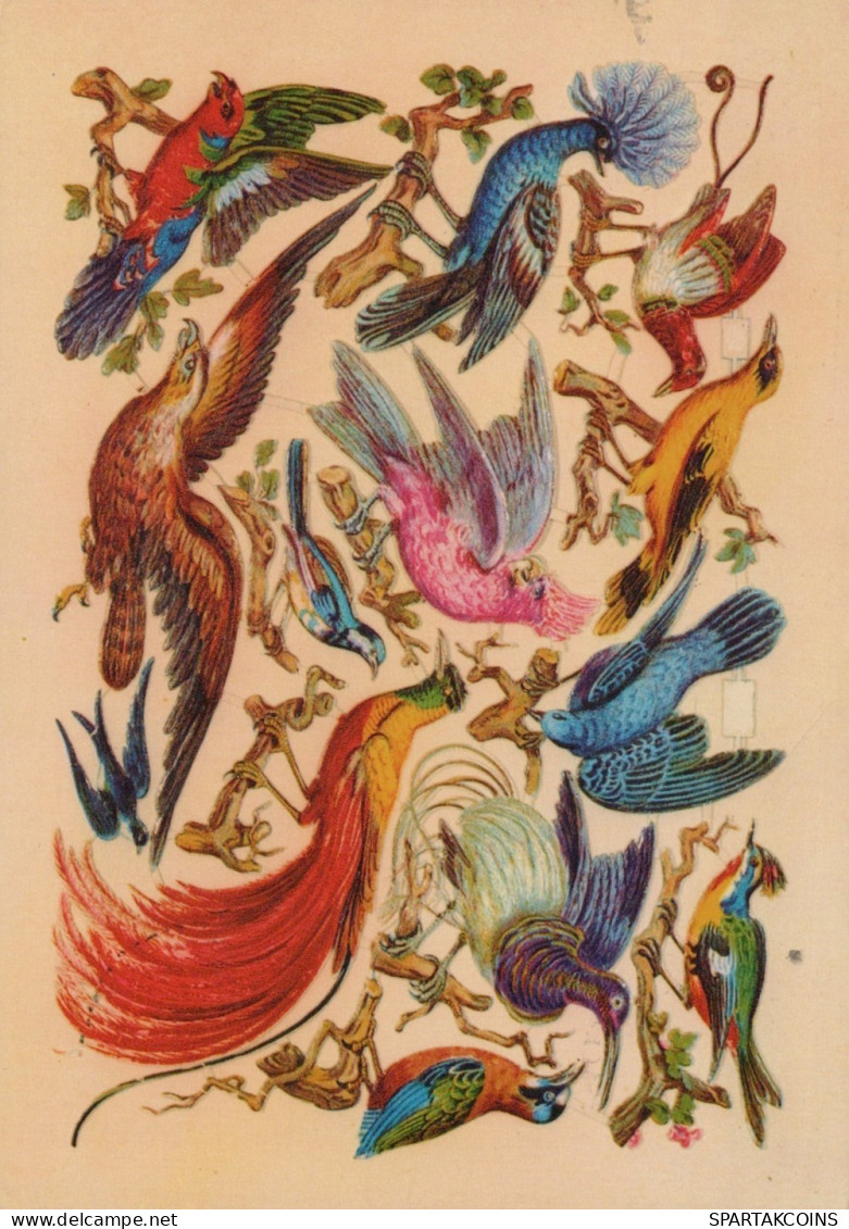 OISEAU Animaux Vintage Carte Postale CPSM #PAN330.A - Vögel