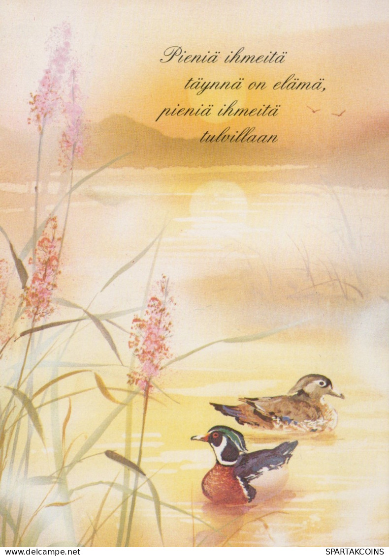 OISEAU Animaux Vintage Carte Postale CPSM #PAN170.A - Vögel
