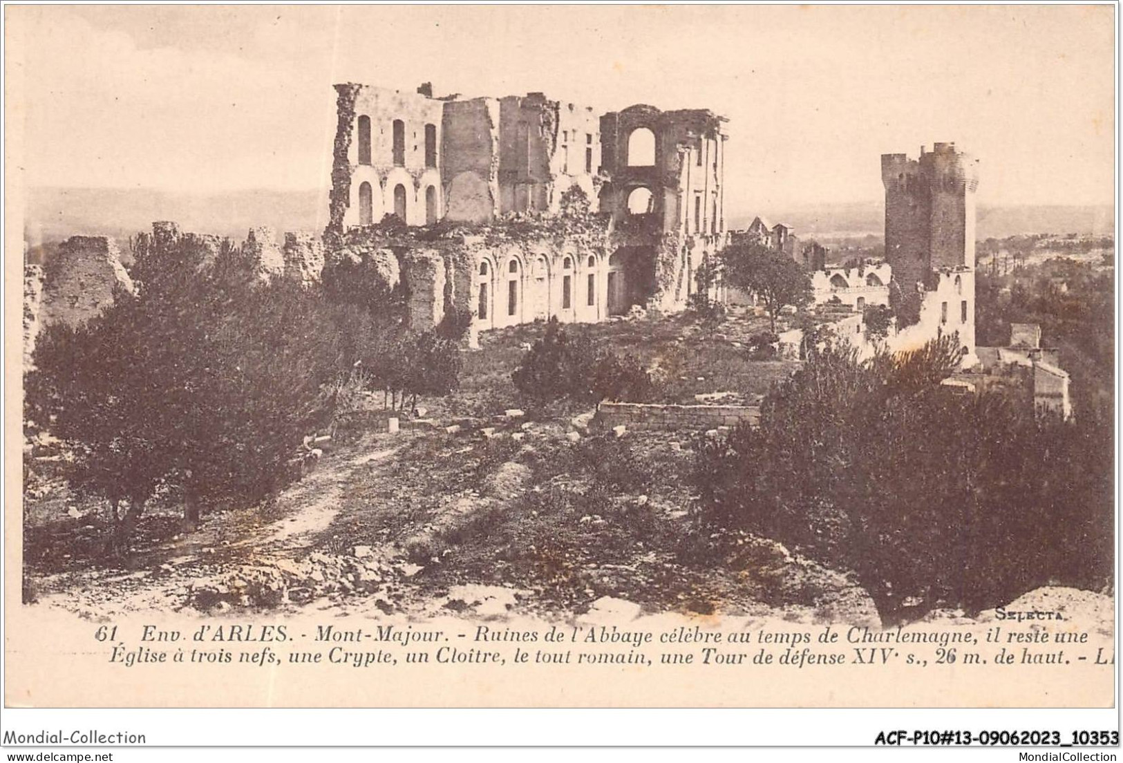 ACFP10-13-0896 - ENV D'ARLES - Mont Majour - Ruines De L'abbaye  - Arles