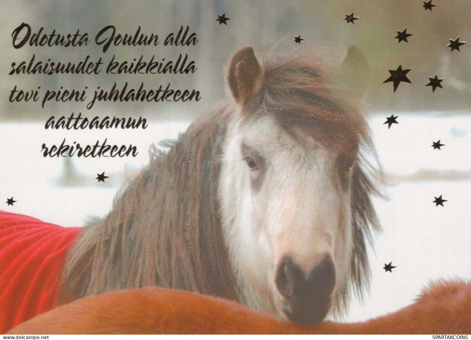 CABALLO Animales Vintage Tarjeta Postal CPSM #PBR935.A - Horses