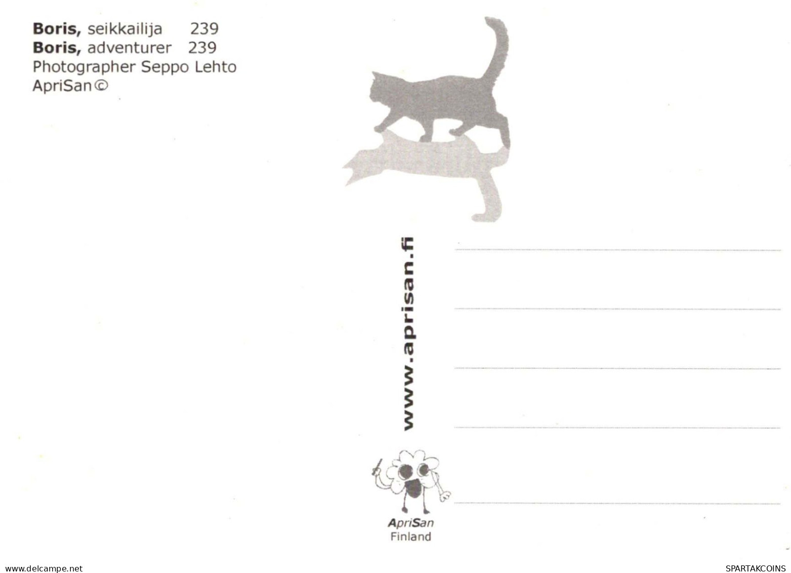 GATTO KITTY Animale Vintage Cartolina CPSM #PBQ815.A - Chats
