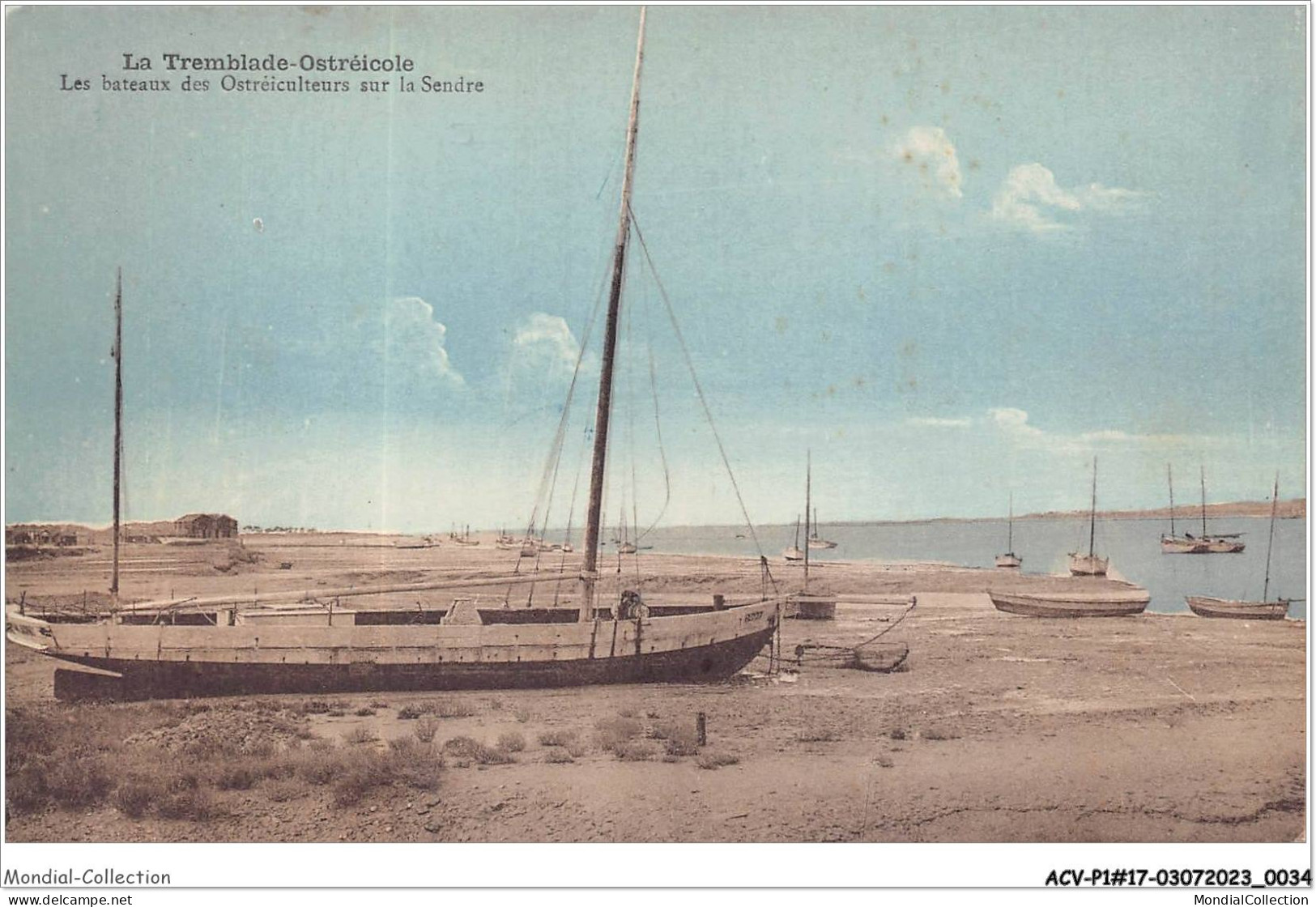 ACVP1-17-0018 - LA TREMBLADE-OSTREICOLE - Les Bateaux Des Ostreiculteurs Sur Le Sendre - La Tremblade