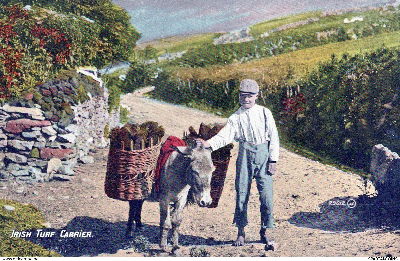 DONKEY Animals Children Vintage Antique Old CPA Postcard #PAA008.A - Anes