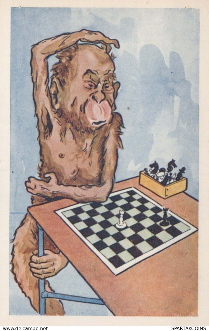 MONKEY Animals Vintage Postcard CPA #PKE771.A - Monkeys