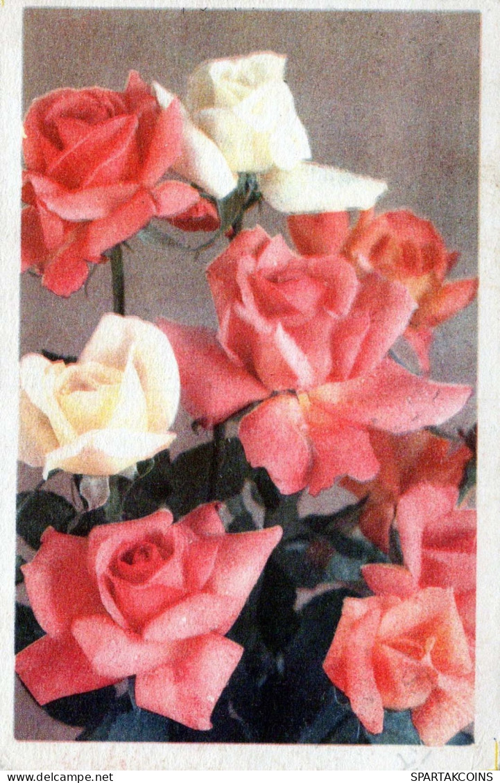 FLOWERS Vintage Ansichtskarte Postkarte CPA #PKE500.A - Blumen