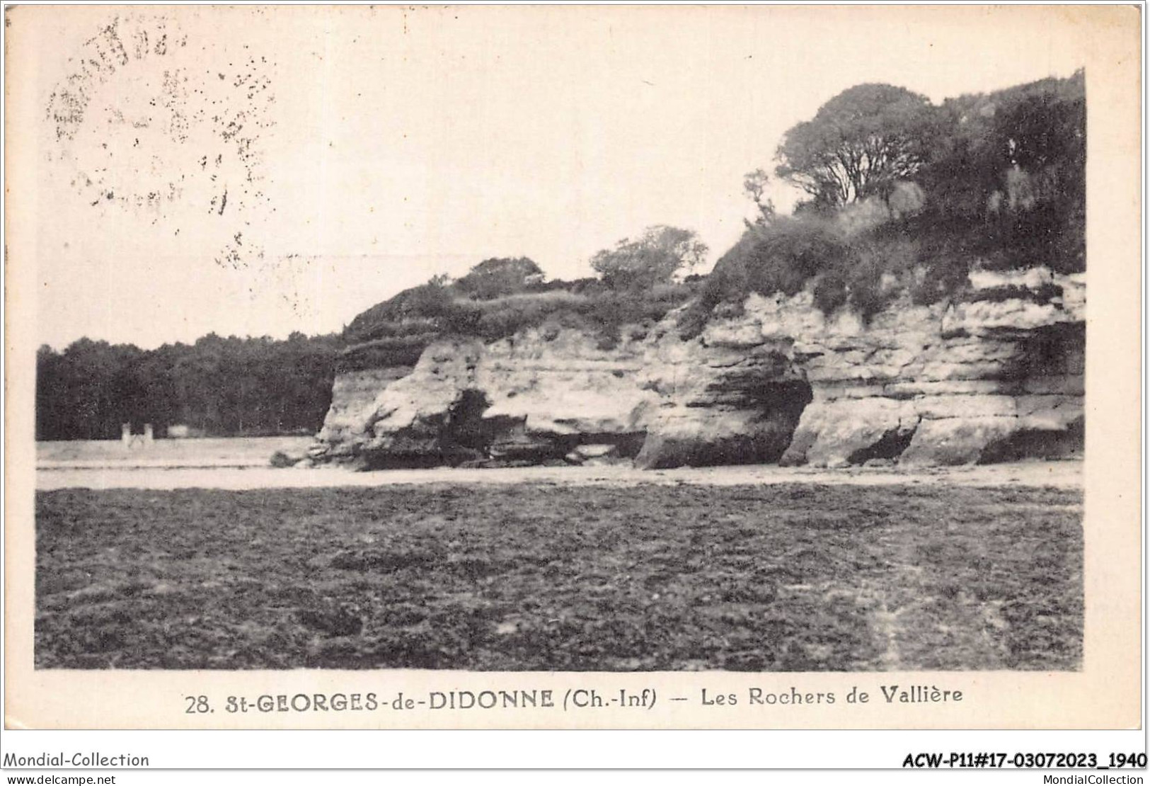 ACWP11-17-0978 - ST-GEORGES DE DIDONNE - Les Rochers De Vallière - Saint-Georges-de-Didonne