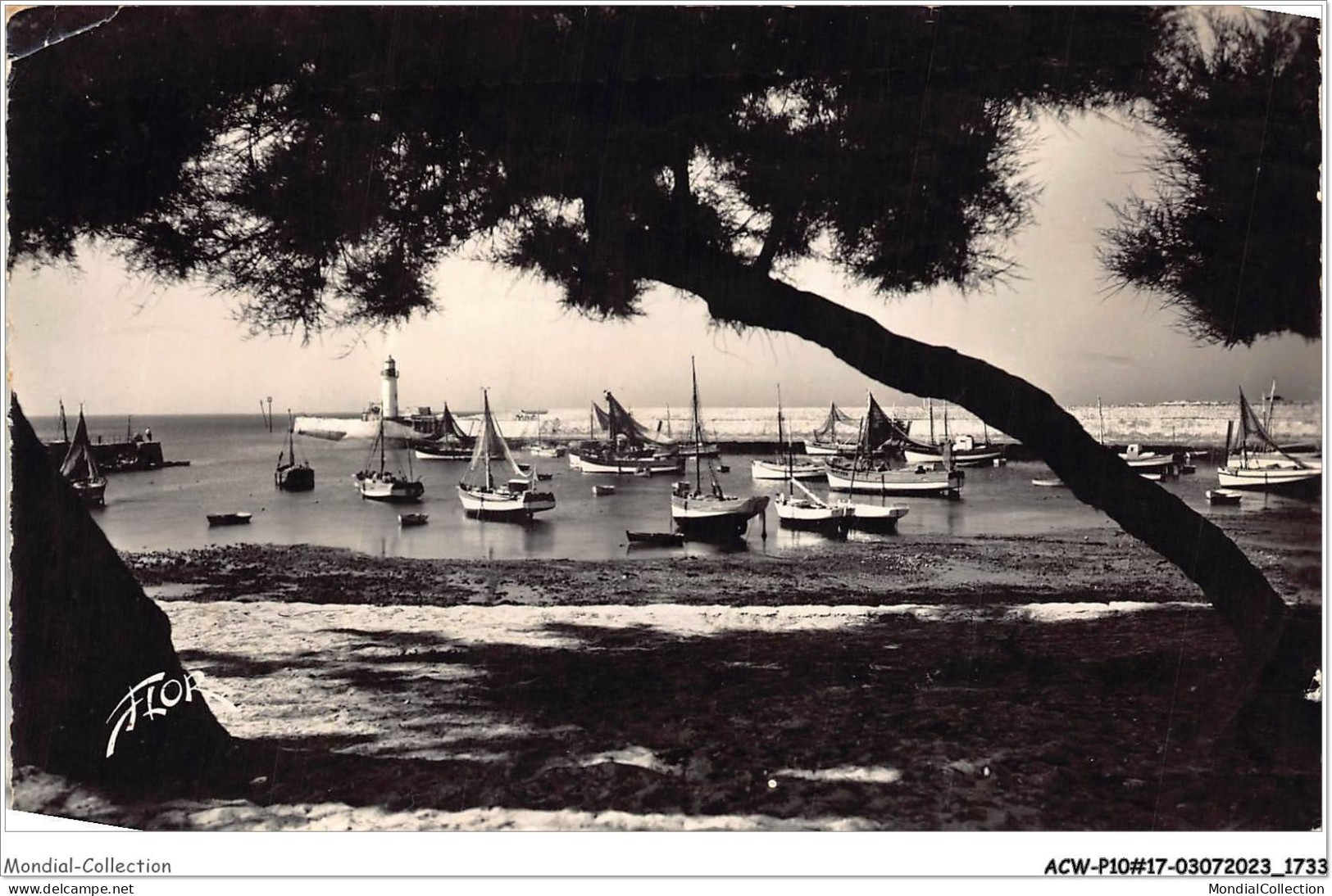 ACWP10-17-0873 - ILE D'OLERON - La Cotinière - Le Port - Ile D'Oléron