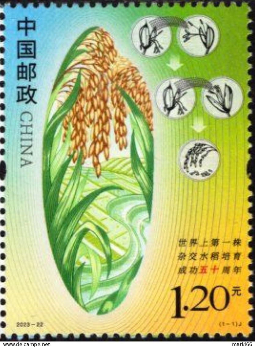 China - 2023 - First Hybrid Rice Harvest - Mint Stamp - Neufs