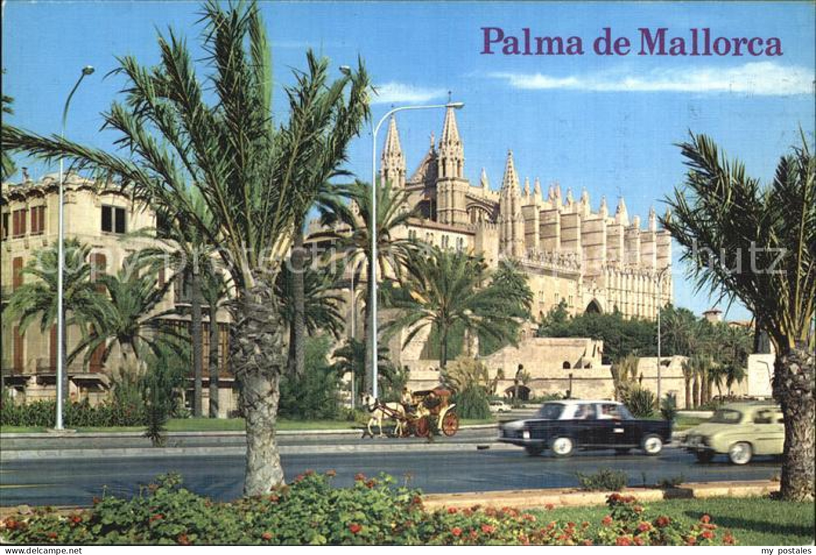 72581496 Palma De Mallorca Kathedrale Palma De Mallorca - Autres & Non Classés